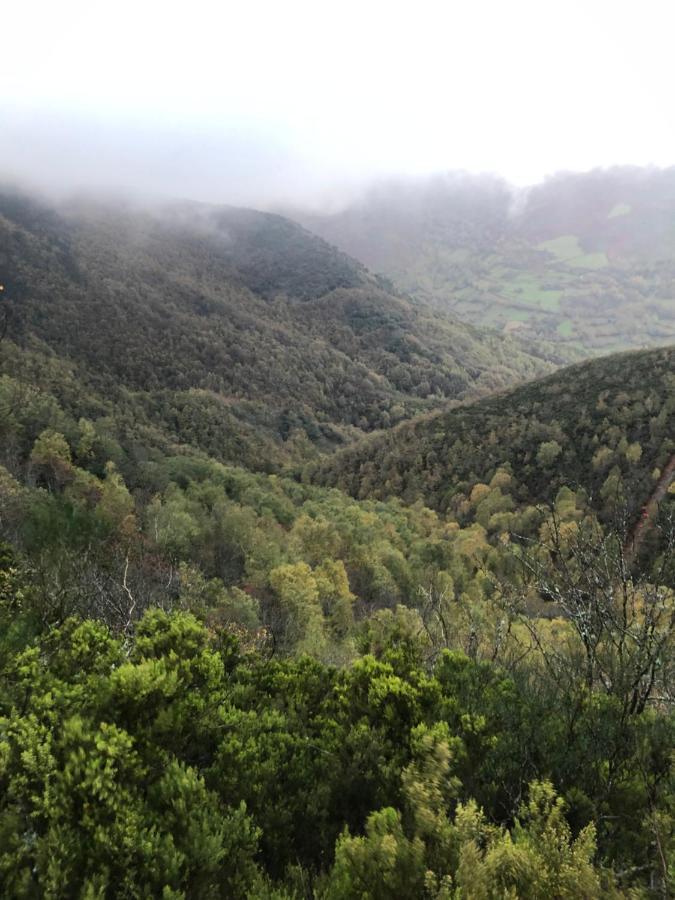 Folgoso do CourelA Barreira -Lar Da Cima-公寓 外观 照片